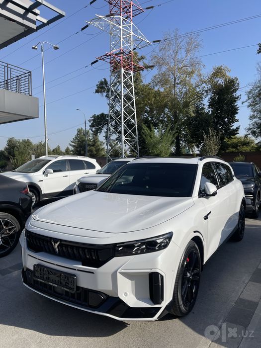 Voyah free 318 opolotech 2024