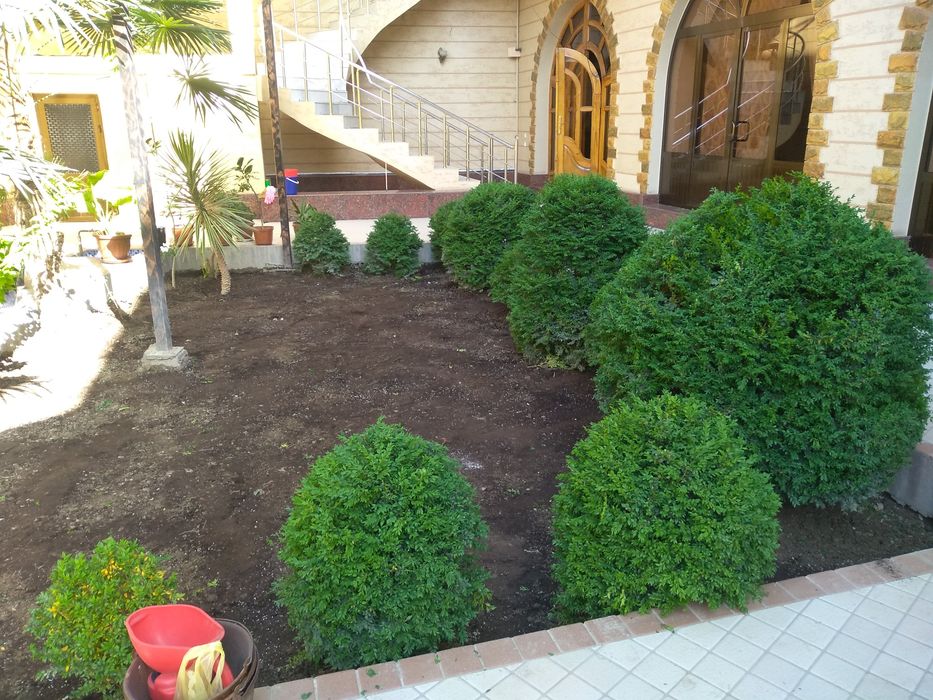 Топиарная искусство. Самшитларни ва хар хил арчаларни стрижка киламиз