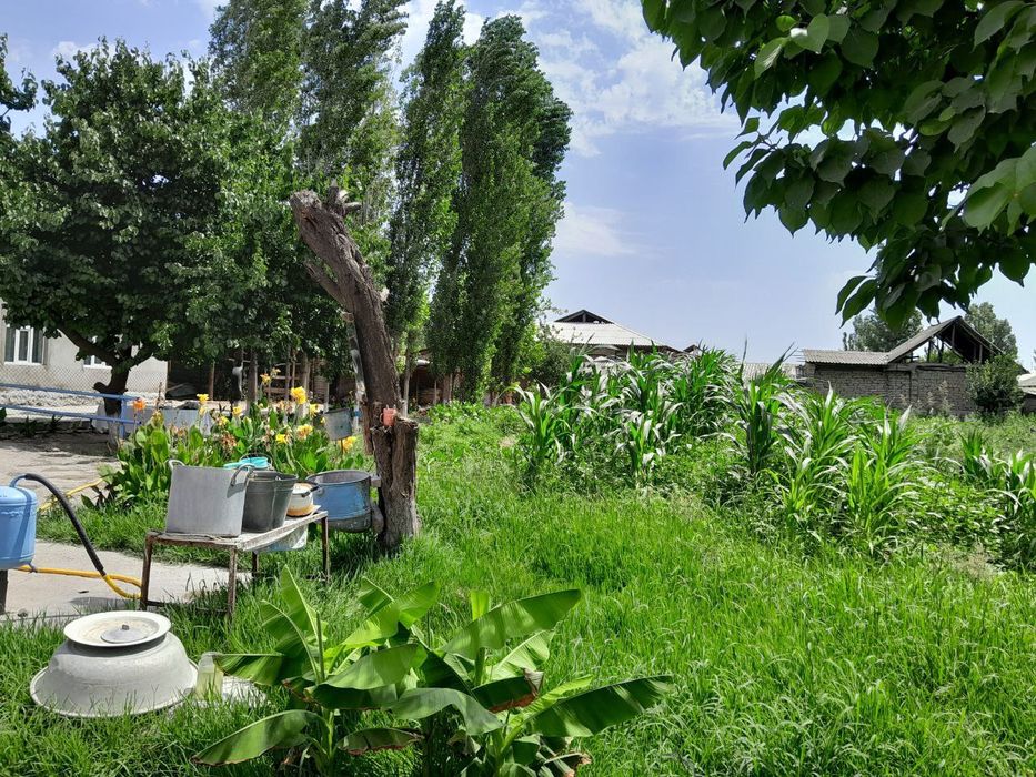 16 сутихли уй сотилади