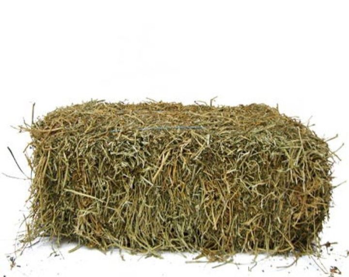 Сено по 1000 тенге с доставкой