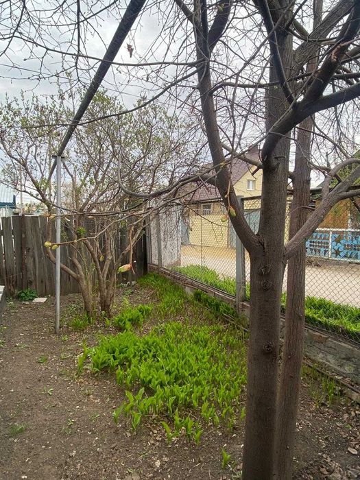 Продам дом в центре города