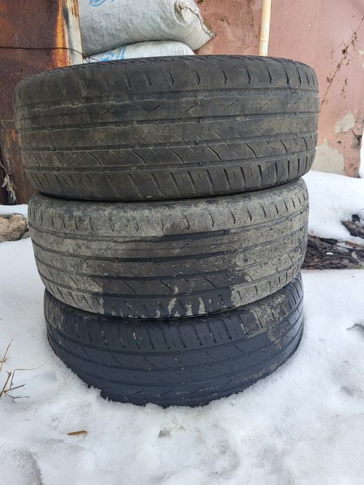 Резина R16 205/55