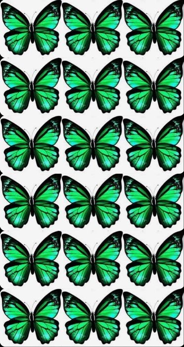 Kapalak buket listlari