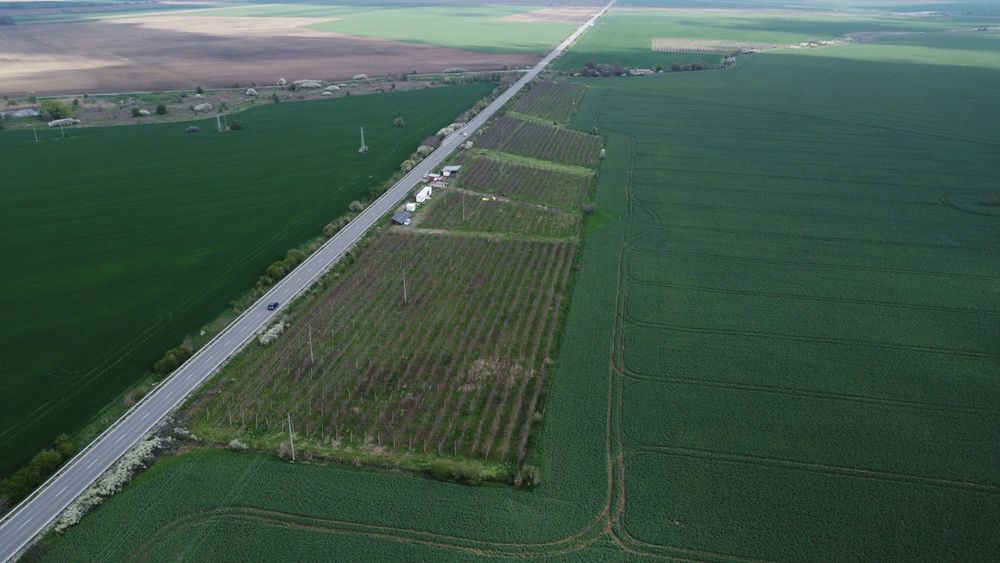 Продава се Земеделски имот в с. Могила, Област Стара Загора -  кв.м за 2881 €/дка - Снимка #1