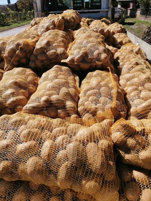 Картофи сорая с ДОСТАВКА!