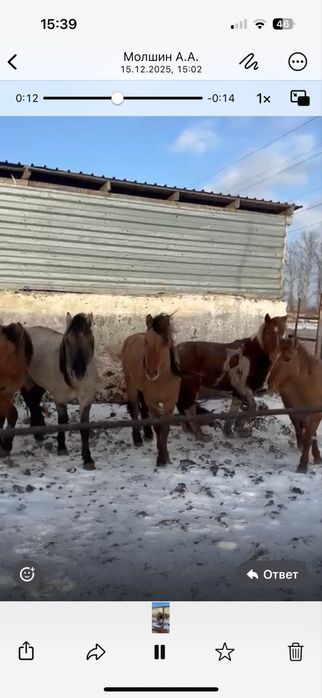 Мұғалжар донен соғым