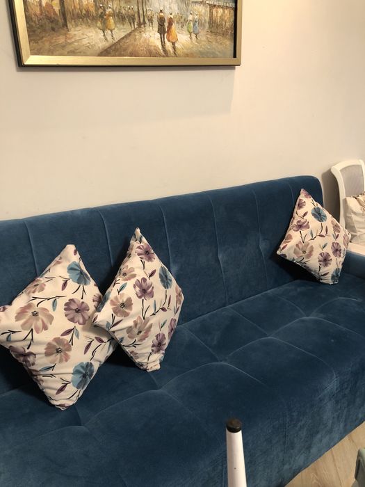 Диван. Мягкий мебель