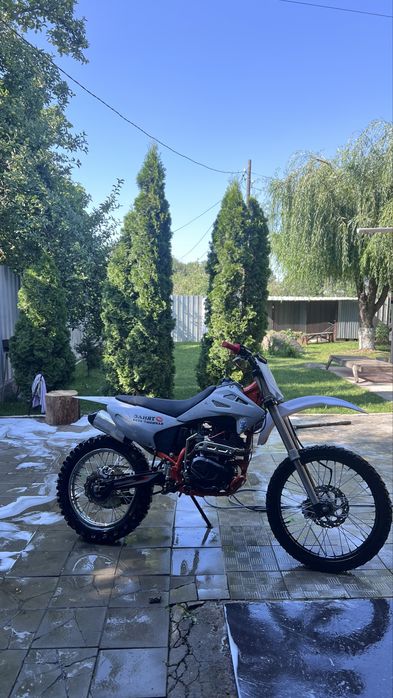 Продам progasi palma 300
