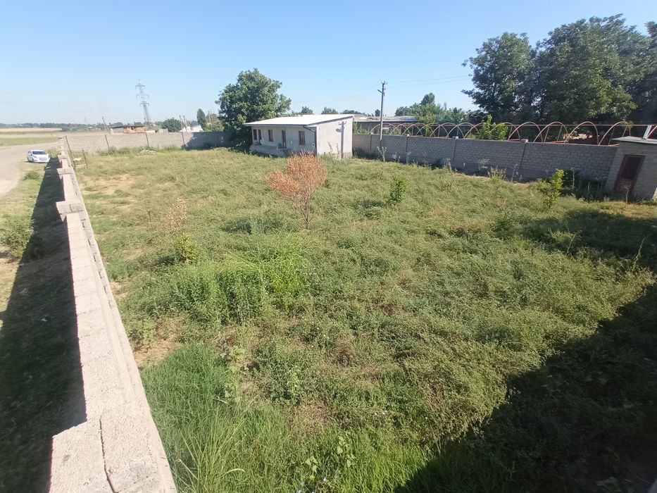 Пискент туманидан участка