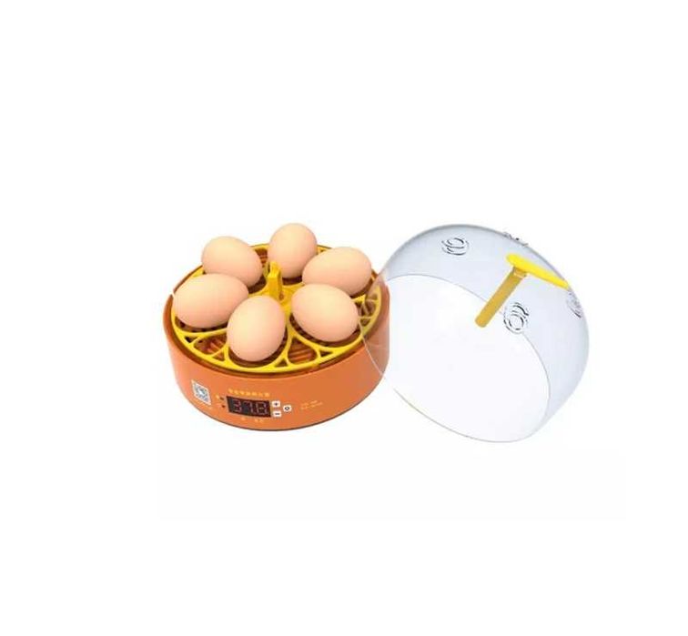 Incubator Automat Clocitoare 6 Oua Gaina Prepelite Pasari LivratGRATUI