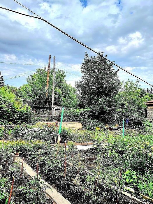 Продам 3 комн дом.