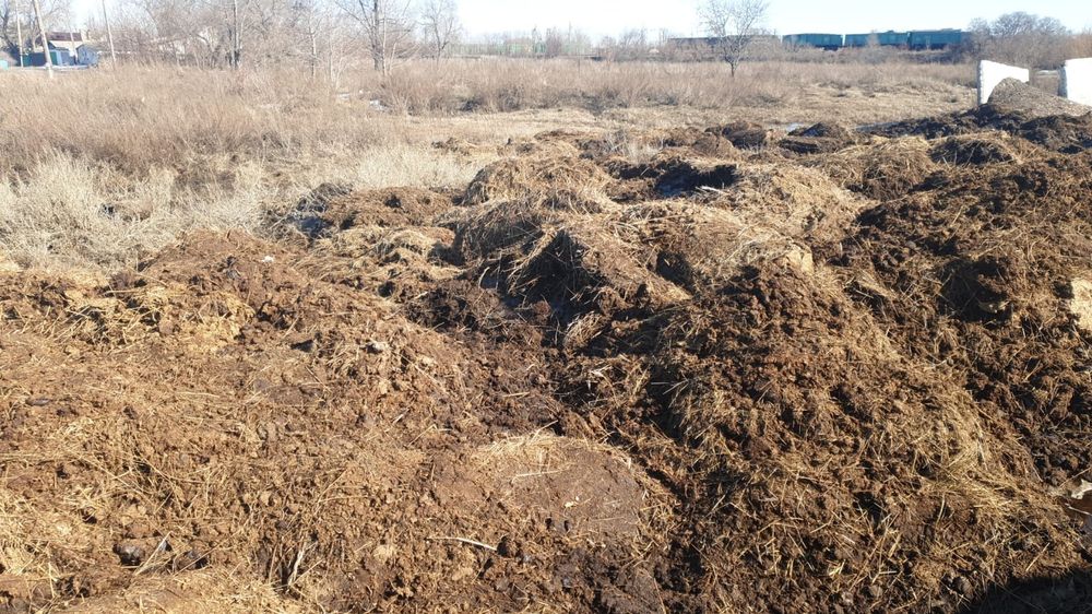 Предлогаем навоз