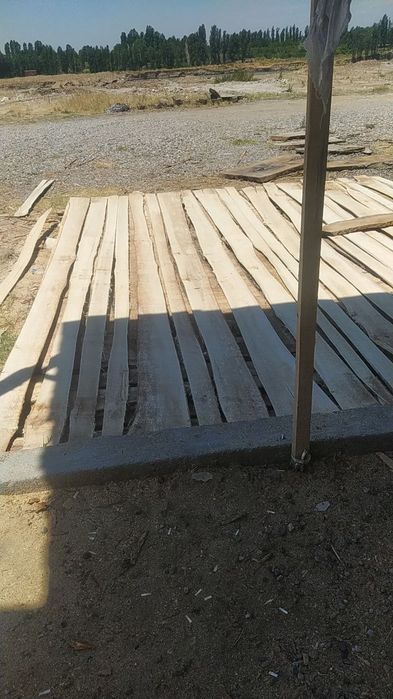 Tusin strapila chorni potolok pilorama xizmat