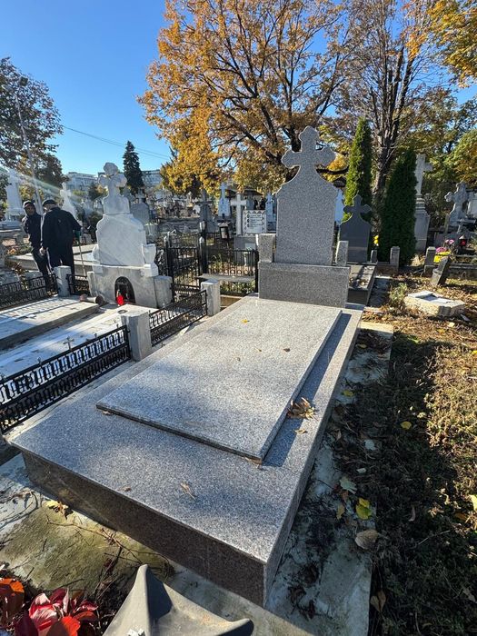 Loc de veci Viisoara