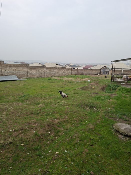 Недвижемость отдельный дом