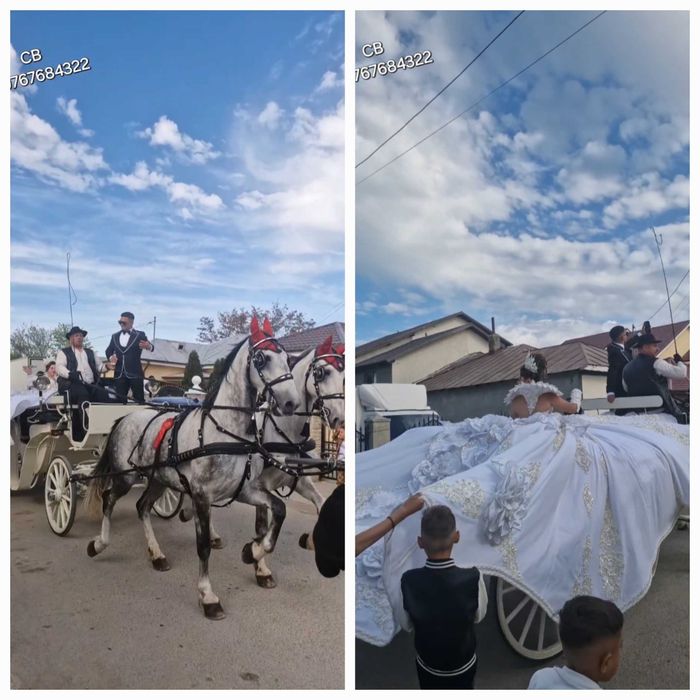Trasura  Cai Caleasca Filmari Nunta Mireasa Album Nunta  FotoVideo  Elegant Cai