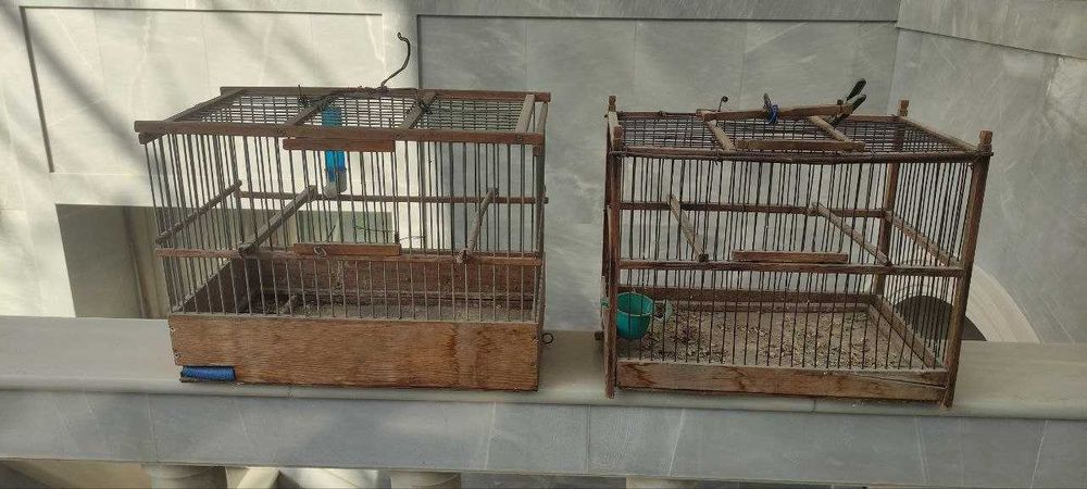 Продам деревянную клетку для попугаев —