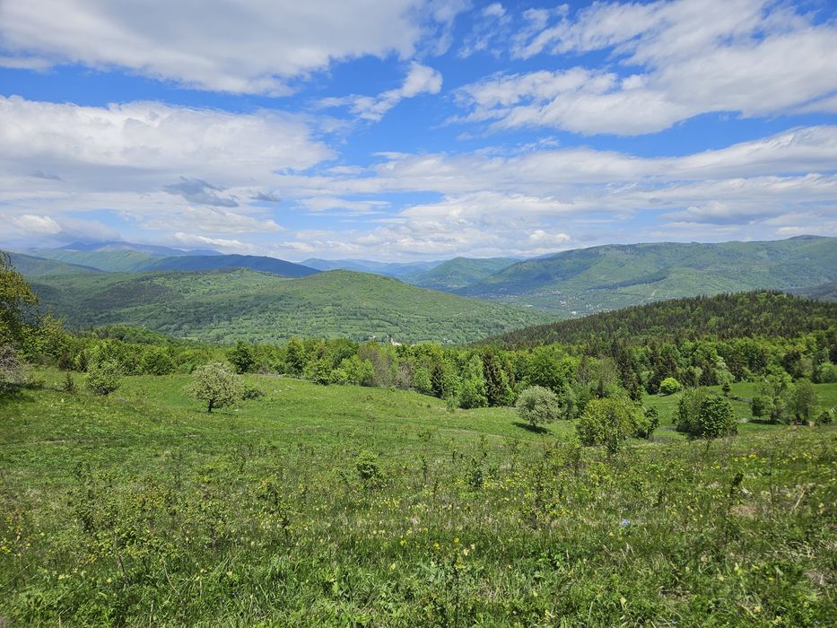 Teren Intravilan 10.000 mp cu vedere panoramică în Secăria, Prahova (Se poate vinde și parcelat)