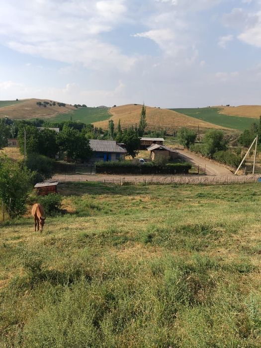 Участок 17 соток Ачикуль