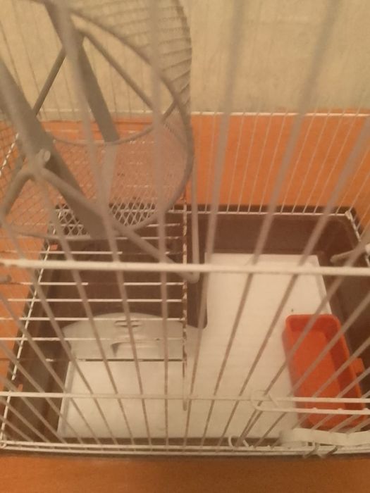 Продам клетку для хомяка