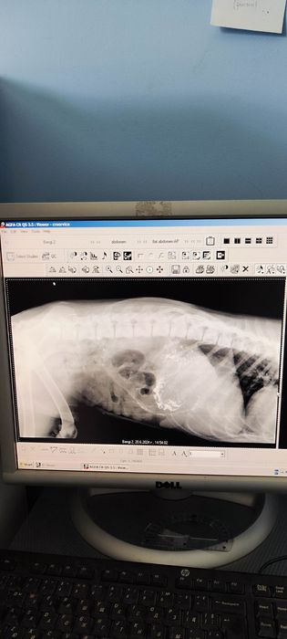 CR AGFA-SOLO + две касети