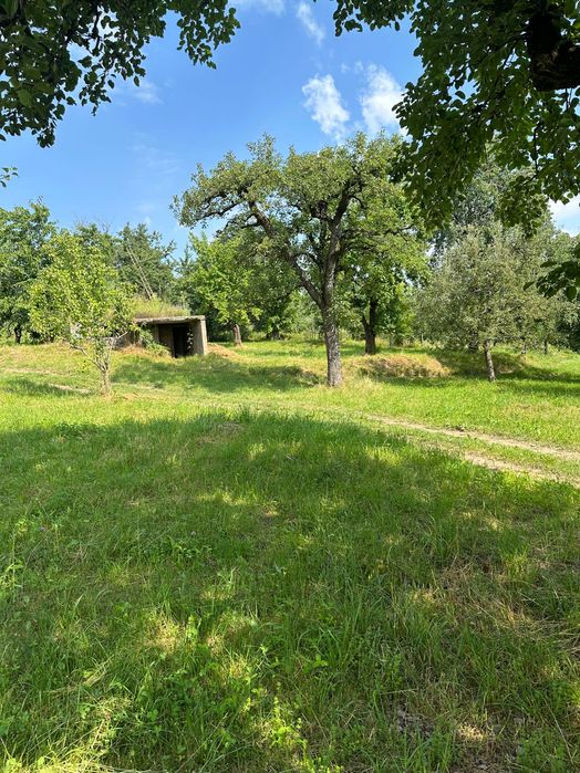 Teren intravilan de vânzare – 4.200 mp, ideal pentru casă de vacanță sau cabană