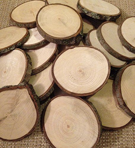 Mesteacan decorativ , busteni de mesteacan , lemn felii, trunchi