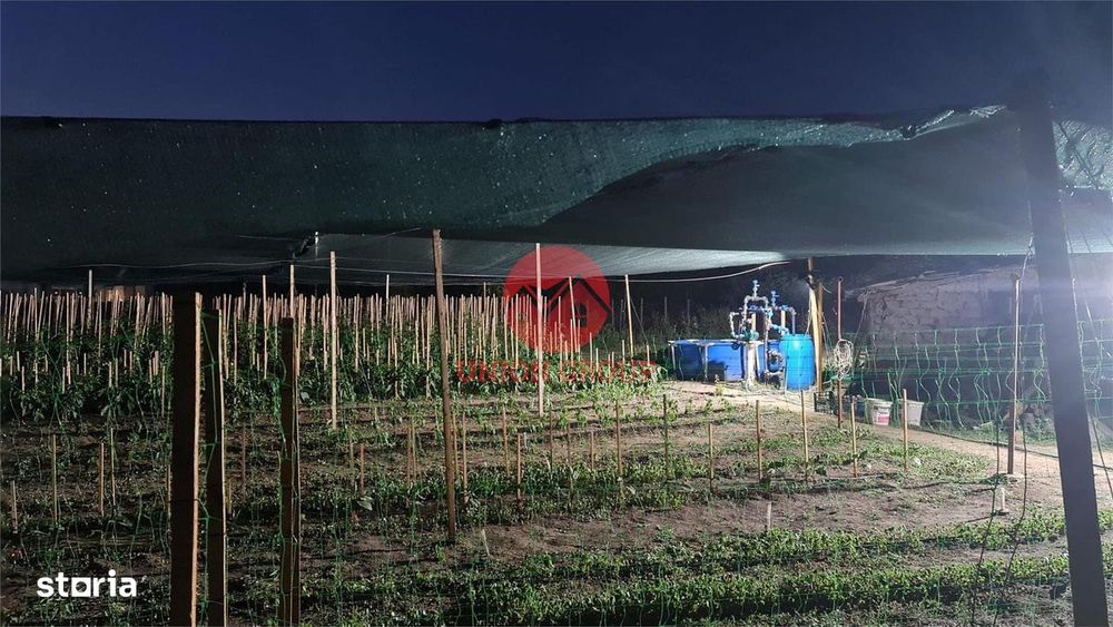 Casa Batraneasca in Topraisar cu Teren de 1711 mp si Deschidere 42 ml