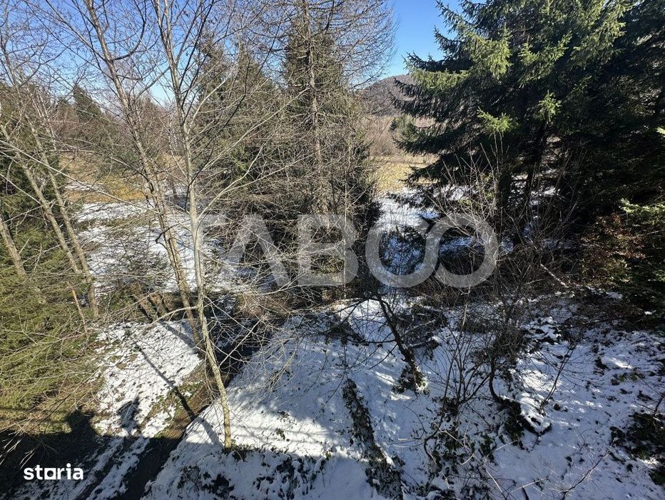 Teren extravilan 4600 mp cu acces la rau Satul de Vacanta Dejani