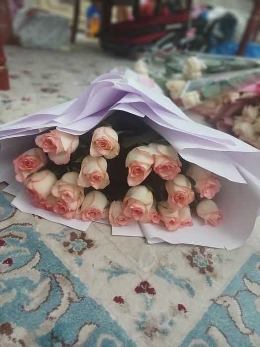 Гул роза голландский