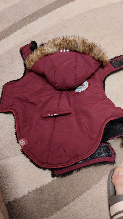 Hainute de cățel moderne