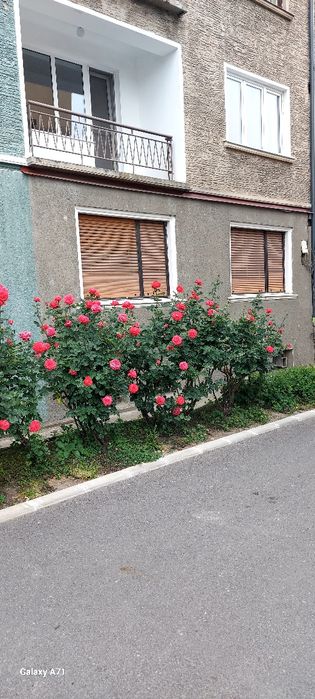 Apartament 2 camere de vanzare -  strada Horea zona centrală
