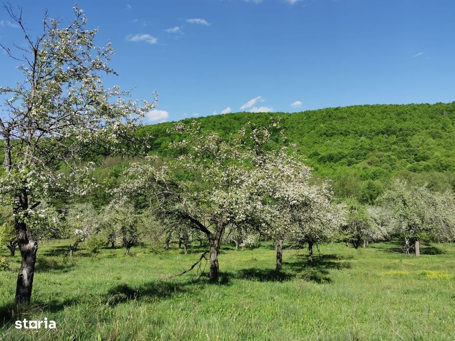 Teren de Vânzare, Budeasa Mica – Potrivit pentru Casă de Vacanță sau I