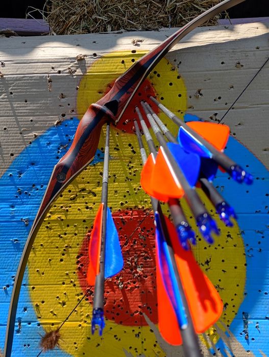 Arc recurve puternic