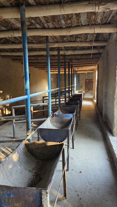 Tayyor ferma sotiladi joy sotiladi , 10 соток земли на продажу yer