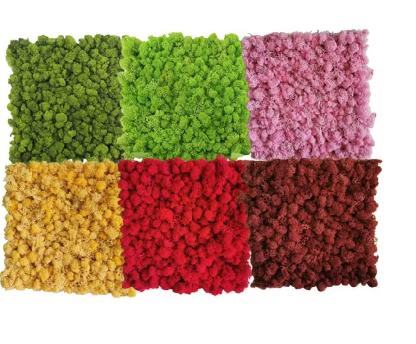 Скандинавски мъх , картини и пана , декорация зелен мъх , ПРОМОЦИЯ