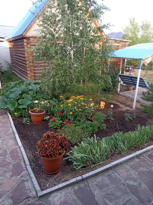 Сдам домики срубы.