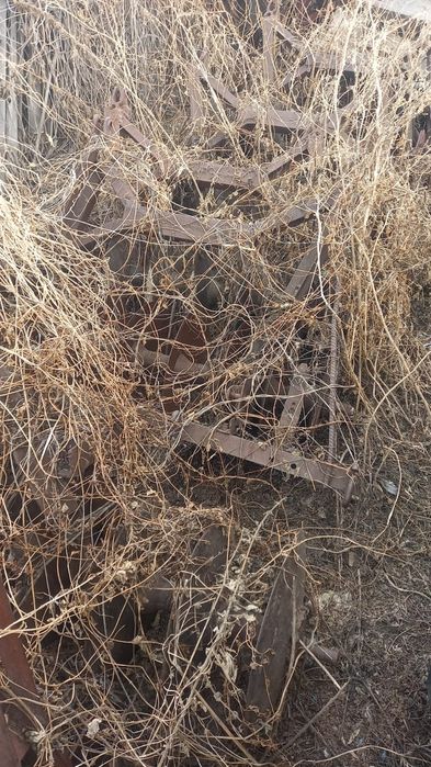 Продам БМШ на базе лущильника ЛДГ10