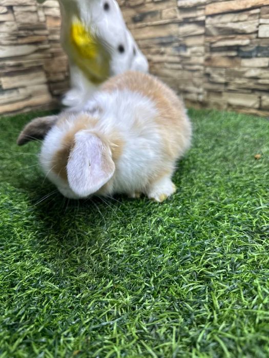 Подарок для детей