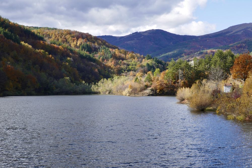 Panasonic Lumix TZ101