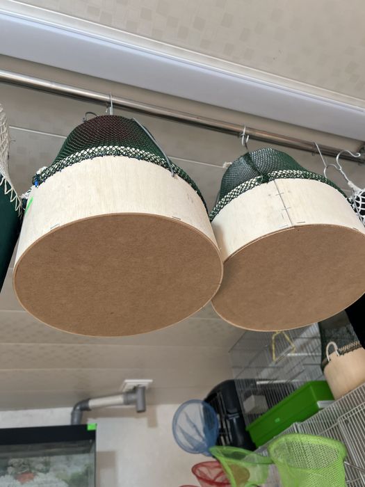 Qavoqlar sotiladi bedanaga