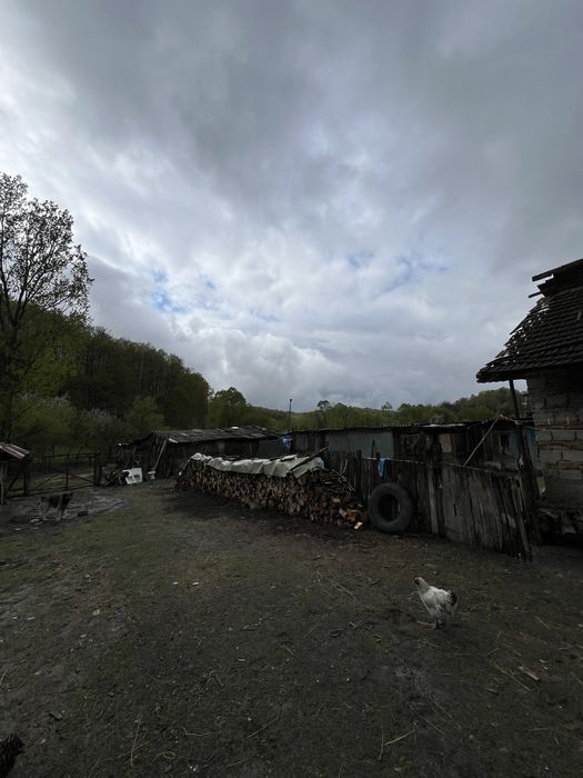 Vând casă nr 0764706871