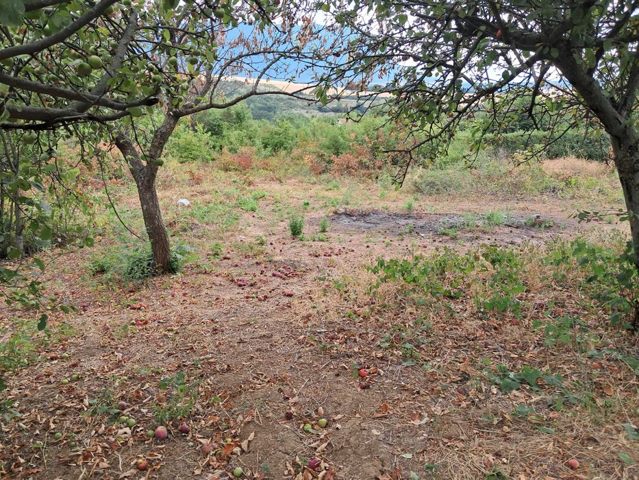 Имот близо до Враца