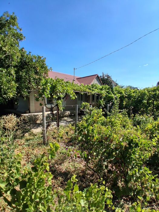 Casă de vanzare Ciocani