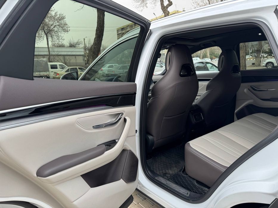 Byd Champion Restyling full 605