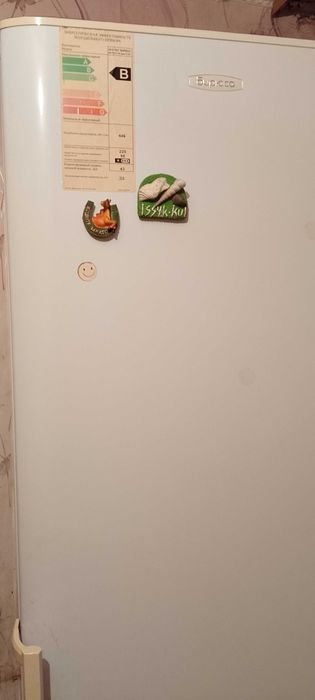 Холодильник Бирюса