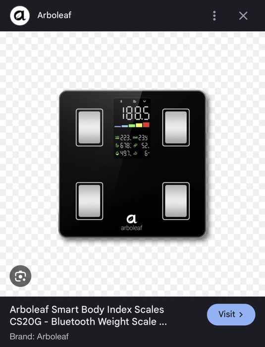 Cantar Bluetooth Smart Electronic Arboleaf CS20G