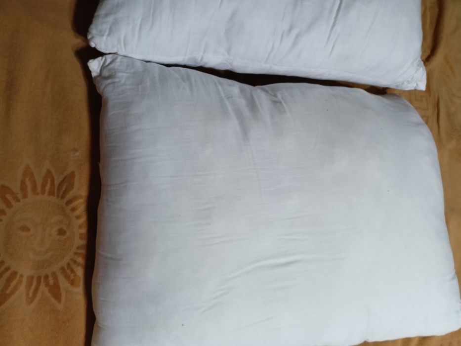 Две подушки   50#70 и одеяло 222#157