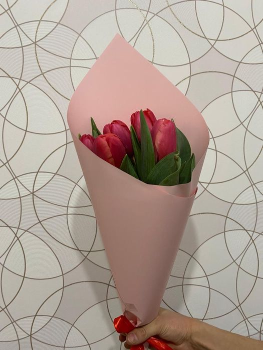 Тюльпан тюльпаны