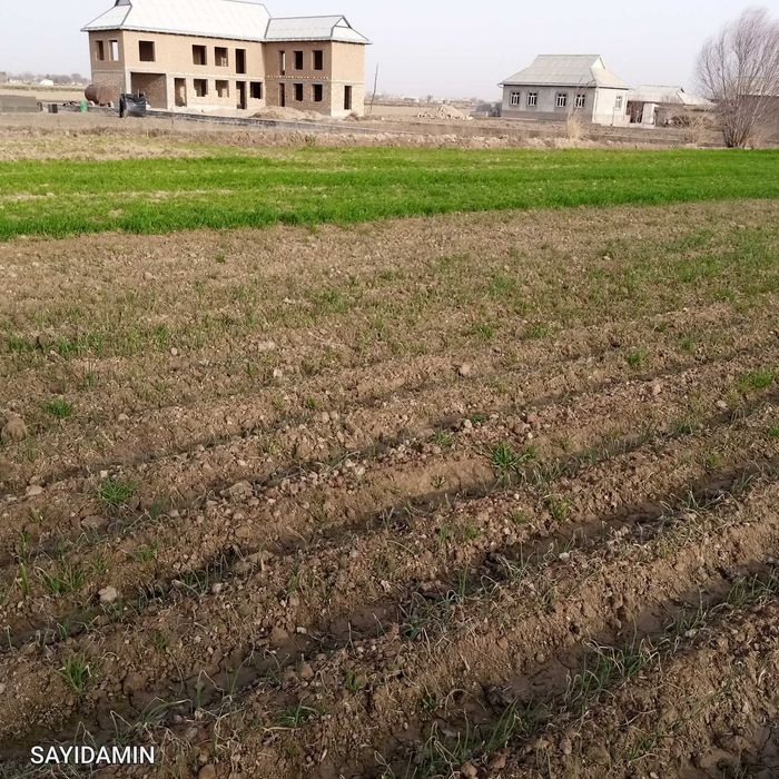 17 Sotix yer qulay joyda